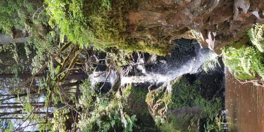 Nr 37 Falkauer Wasserfall