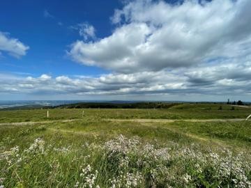 18 Feldberg Frühsommer