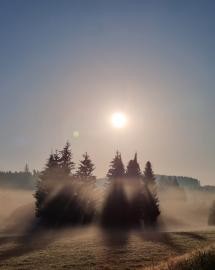 28 Sonnenaufgang im Nebel