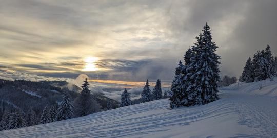 34 Feldberg - ein Wintertraum an Heiligabend