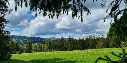 06_Feldbergblick_Sommer