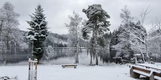 14_Windgfällweiher_1