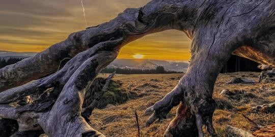 21_Sonnenuntergang mit Blick aufs Dörfle