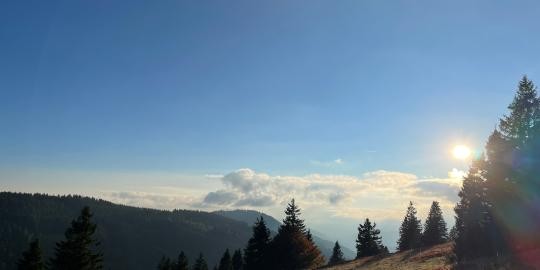 29_Feldberg Richtung Todtnauer Hütte