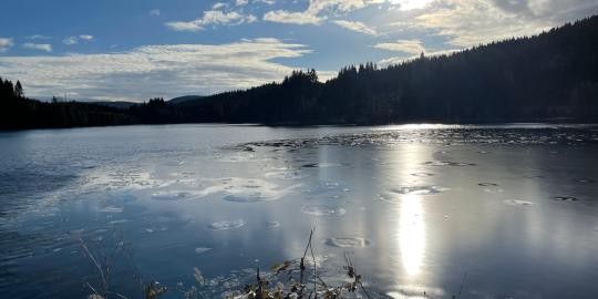 32_Windgfällweiher Dezember