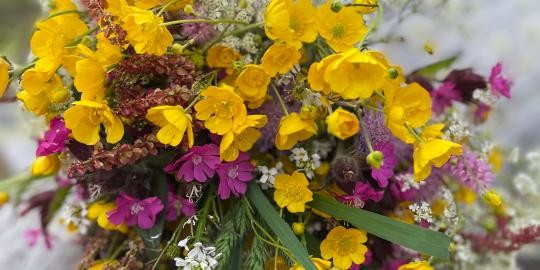 36_Blumenstrauß gepflückt in Falkau Ende Mai