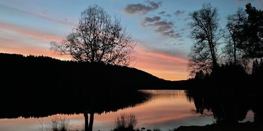 43_mystisches Guten Morgen vom Windgfällweiher