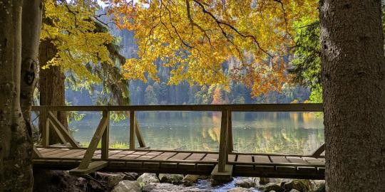 62_Brücklein am Feldsee