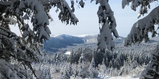 10 Ober-Falkau auf der Rotmeer Loipe Winter