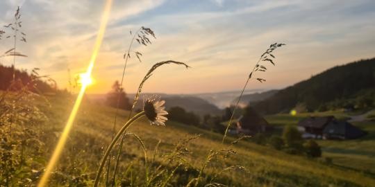 26 Sonnenaufgang mit Blick über Raitenbuch Sommer