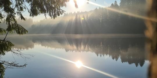 28 Morgenerwachen am Windgfällweiher Sommer