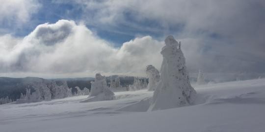 8 Seebuck Winter Eis