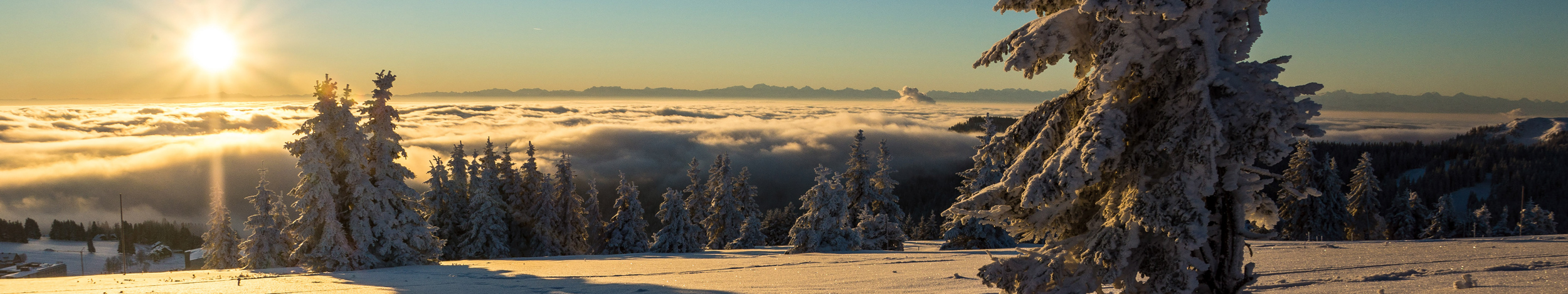 Sonnenuntergang auf dem Feldberg